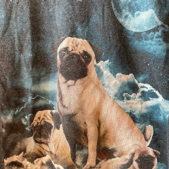 Space Pugs - Picture 2 of 4